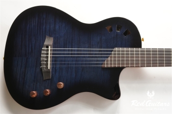STAGE GUITAR LIMITED - BLUE BURST